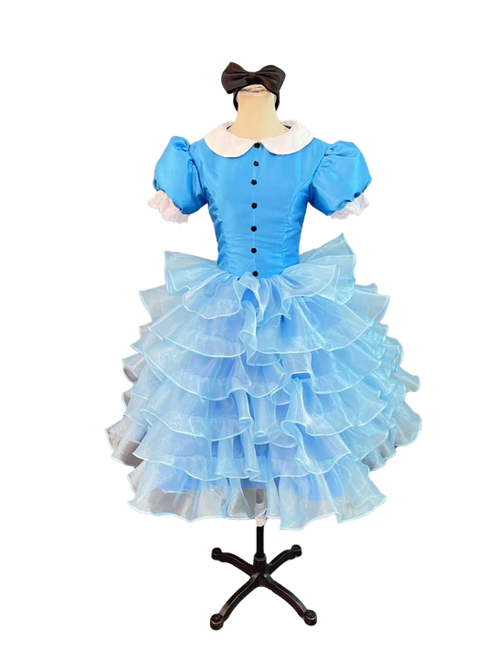 Alice in Wonderland Alice Princes Dress Cosplay Costume