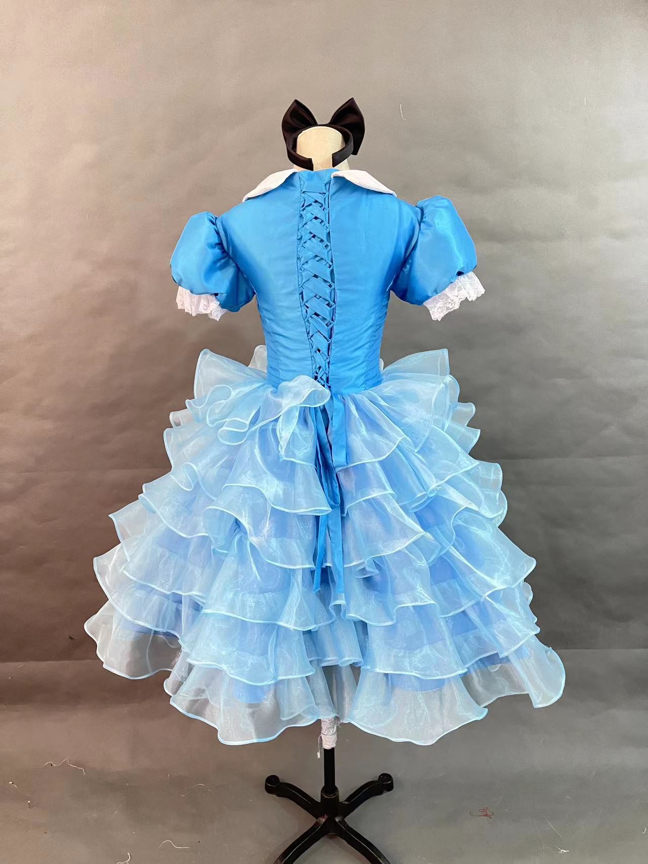 Alice in Wonderland Alice Princes Dress Cosplay Costume