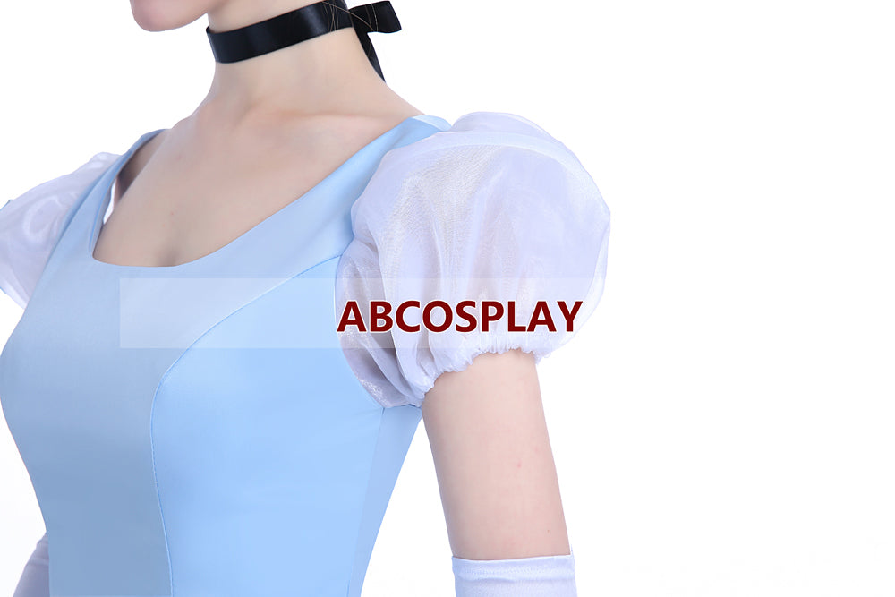 Princess Cinderella Blue Satin Dress Cosplay Costumes