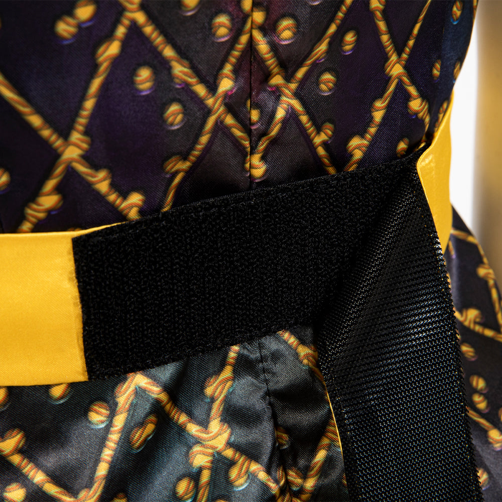 Elemental Ember Lumen Dress Cosplay Costumes