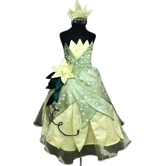 kids The Princess and the Frog Tiana Princess Dress Cosplay Costume