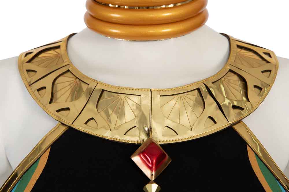 The Legend of Zelda Tears of the Kingdom Riju Cosplay Costumes Free Shipping