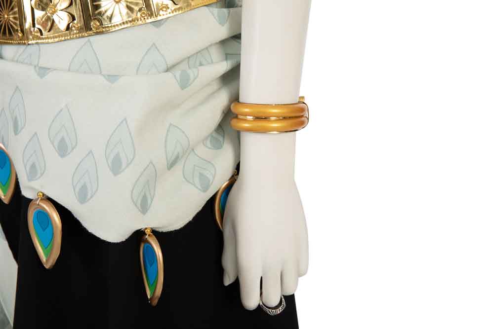 The Legend of Zelda Tears of the Kingdom Riju Cosplay Costumes Free Shipping