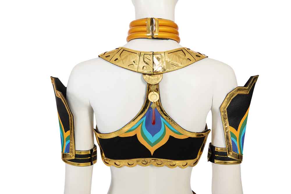 The Legend of Zelda Tears of the Kingdom Riju Cosplay Costumes Free Shipping