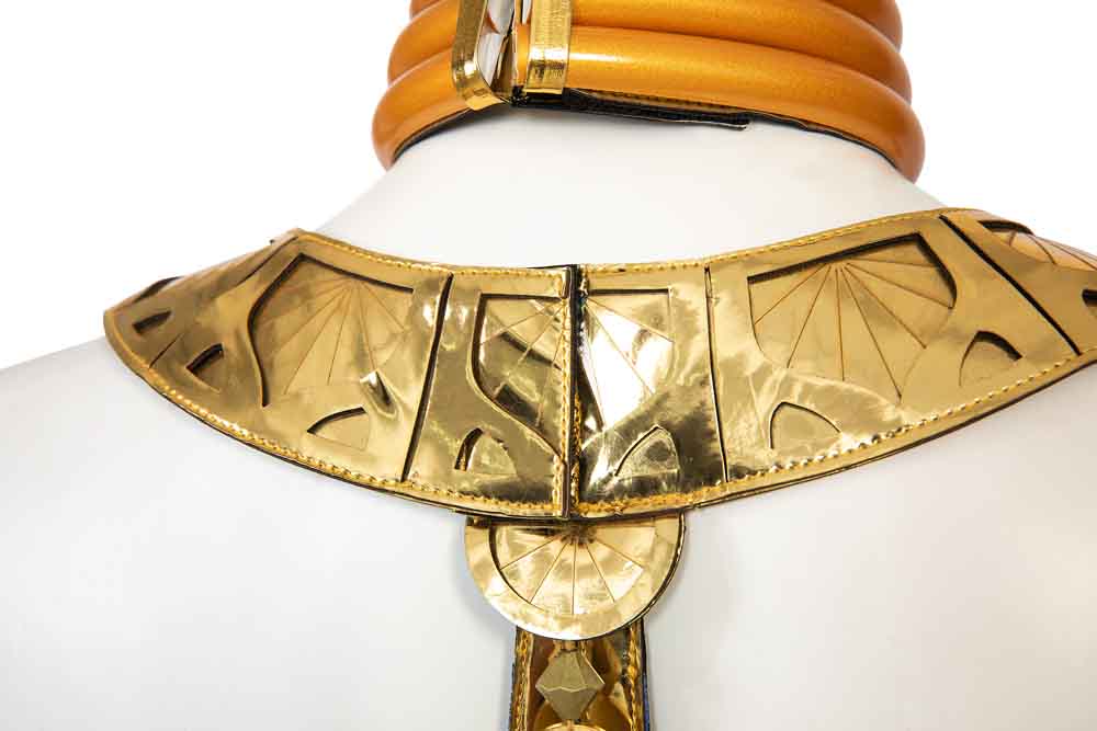 The Legend of Zelda Tears of the Kingdom Riju Cosplay Costumes Free Shipping