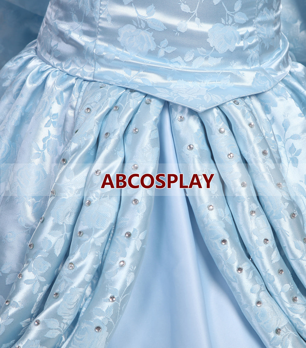 Cinderella Princess Dress Girls Adult Cosplay Costume