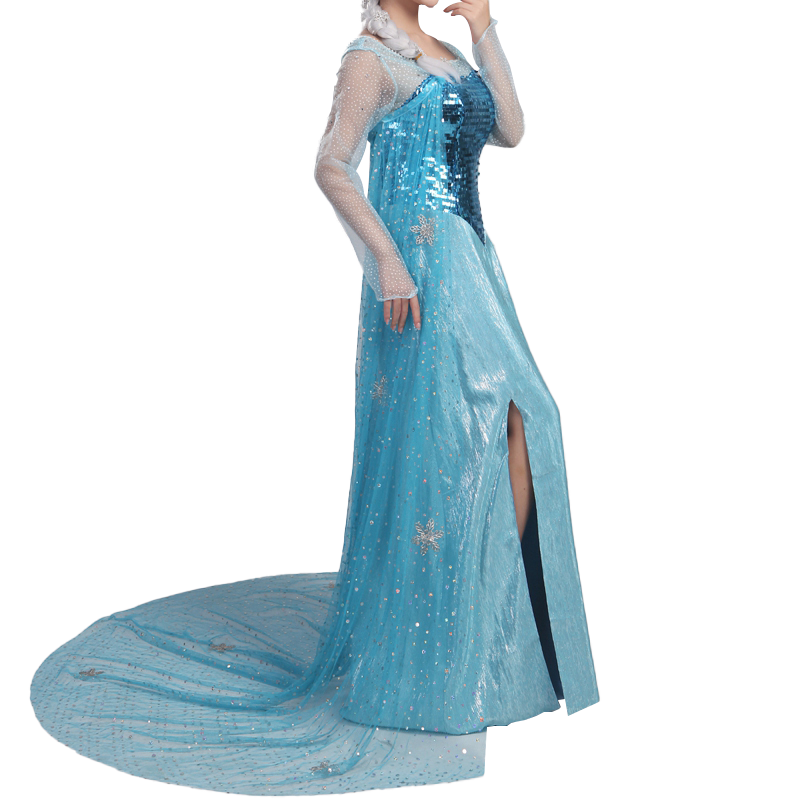 Frozen Elsa Priness Dress Elsa Queen Cosplay Costumes