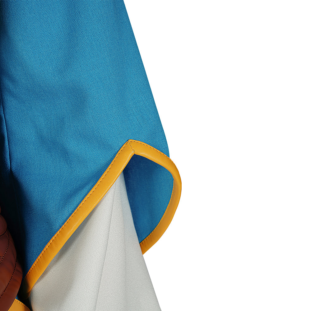 The Legend of Zelda Tears of the Kingdom Princess Zelda Cosplay Costumes Free Shipping
