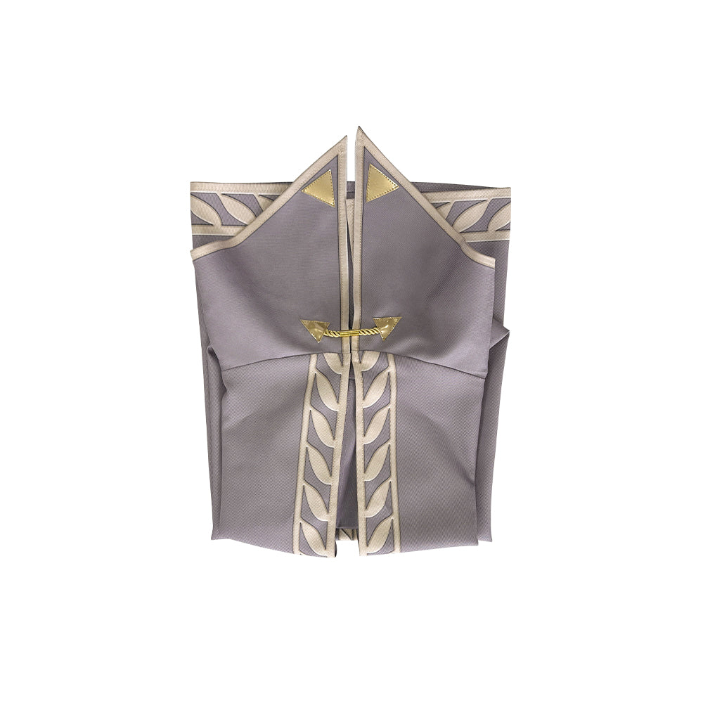 The Legend of Zelda Tears of the Kingdom Princess Zelda Cosplay Costumes Free Shipping